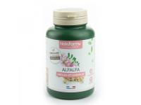 Alfalfa
