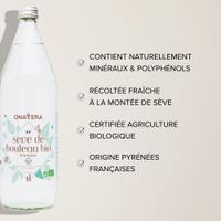 Sève de Bouleau Pure Bio