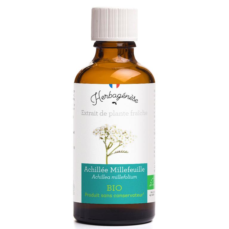 Achillée Millefeuille Bio Extrait de plante fraîche