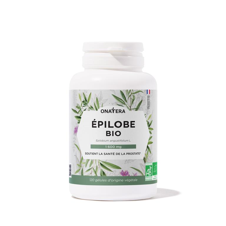 Épilobe