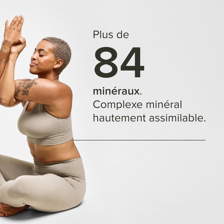 Shilajit résine pure