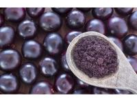 Açaï en poudre Bio