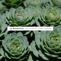 Magnésium marin Stress + Rhodiola