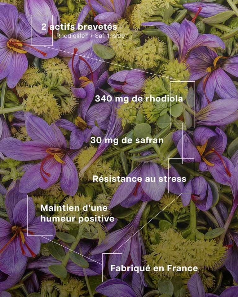 Rhodiola & Safran