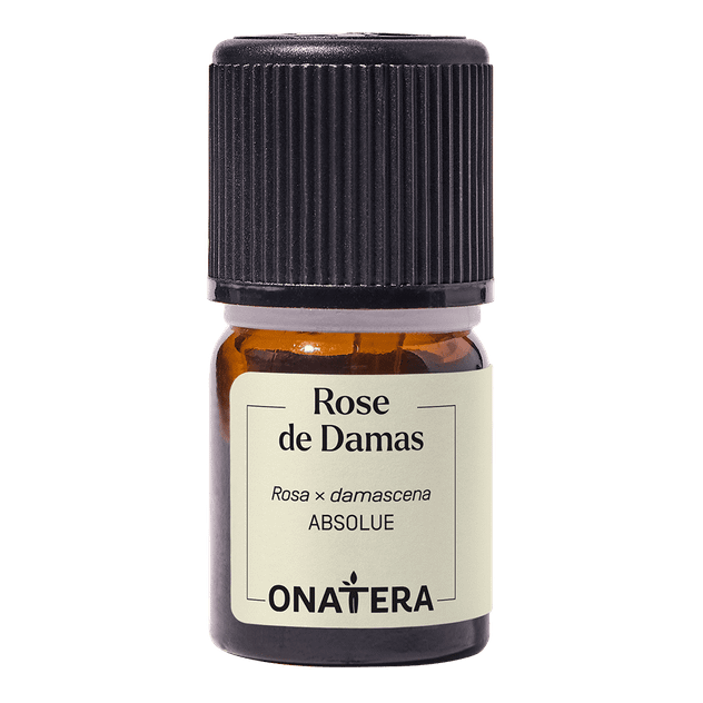 Absolue Rose de Damas
