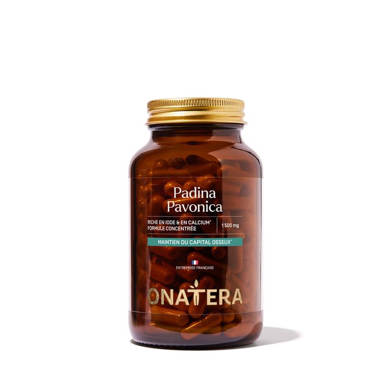 Padina Pavonica