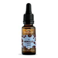 Fleur de Bach Mimulus N°20 Bio