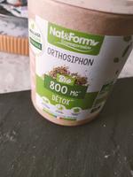 Orthosiphon Bio Eco-responsable