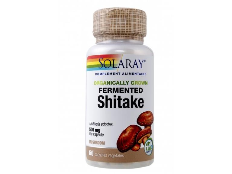 Shitake