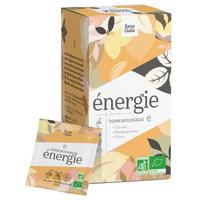 Tisane Énergie Bio