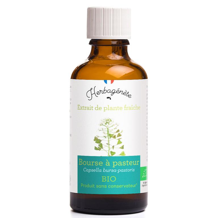 Bourse à pasteur Bio Extrait de plante fraîche