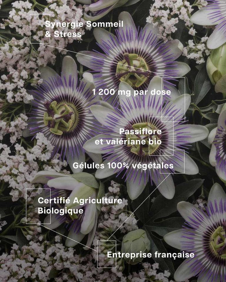 Passiflore Valériane Bio