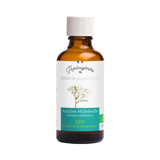 Achillée Millefeuille Bio Extrait de plante fraîche