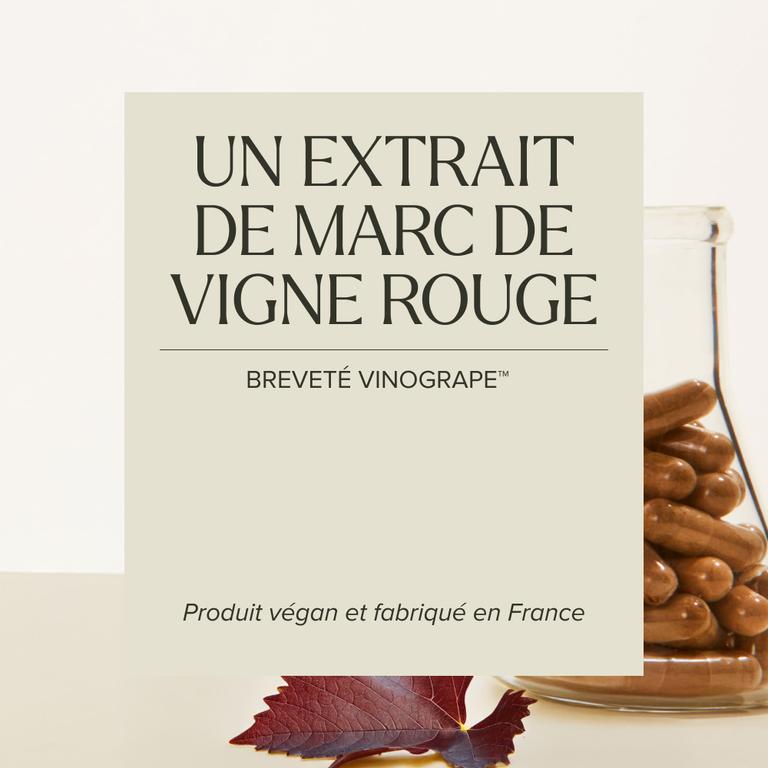 Complexe Anti-Cellulite