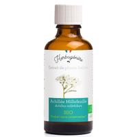 Achillée Millefeuille Bio Extrait de plante fraîche