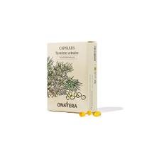 Capsules essentielles Système urinaire