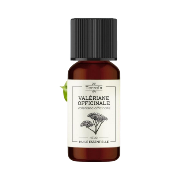 Huile essentielle Valériane officinale