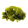 Kelp