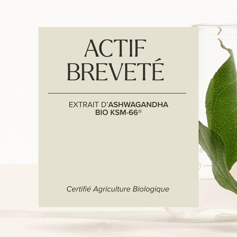Ashwagandha KSM-66® bio 600 mg