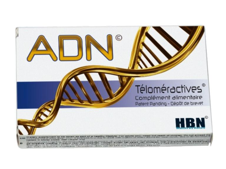 ADN téloméractives