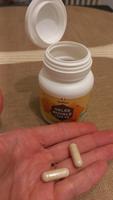Gelée royale 500 mg Bio