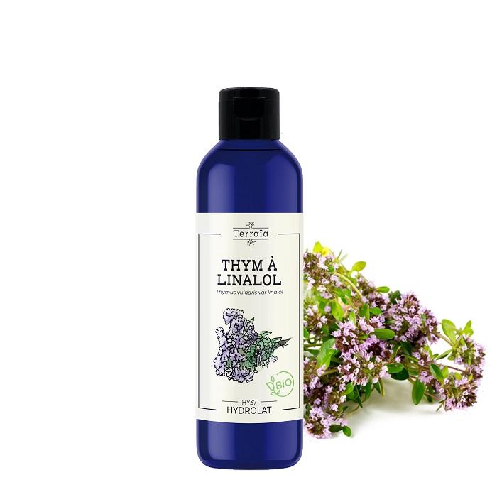 Hydrolat Thym à linalol Bio
