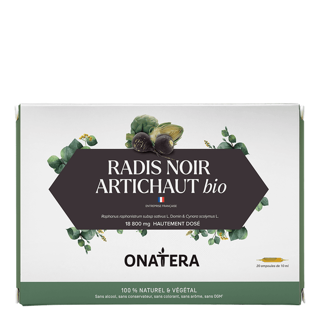 Radis Noir Artichaut Bio