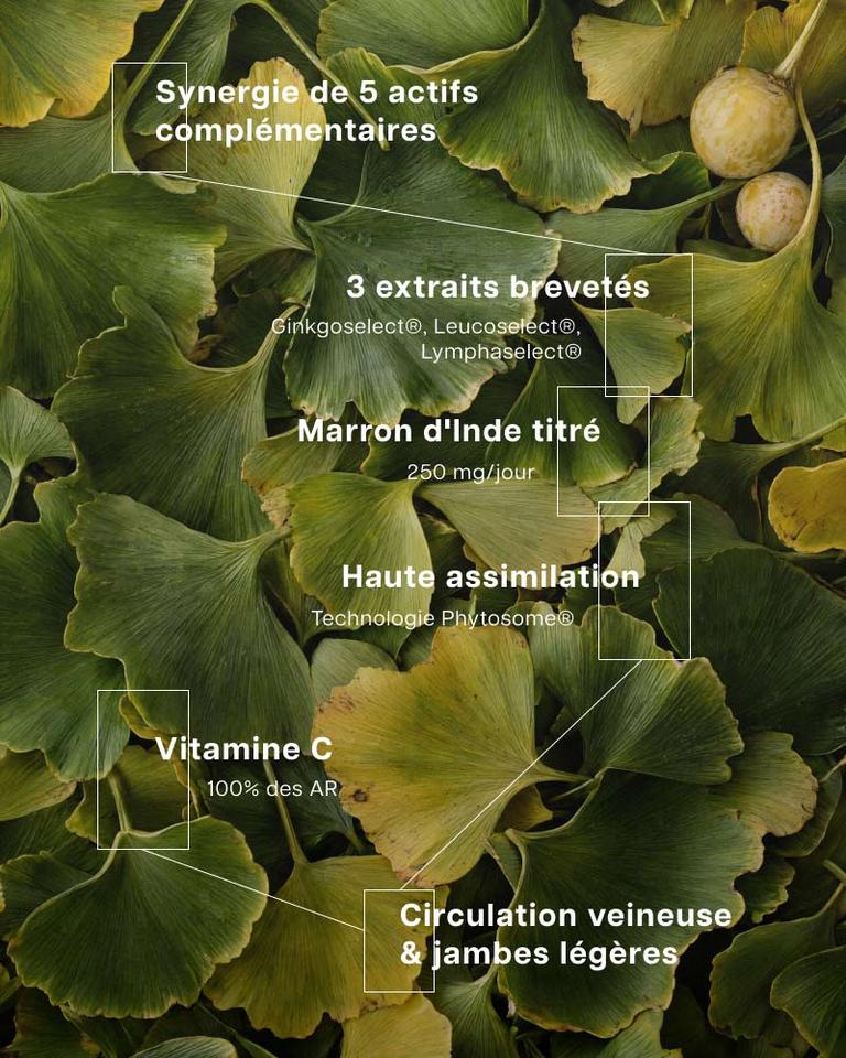 Complexe circulation
