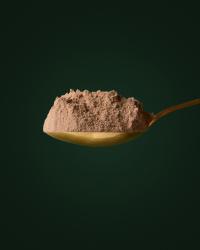 Protéines Bio Vegan Chocolat