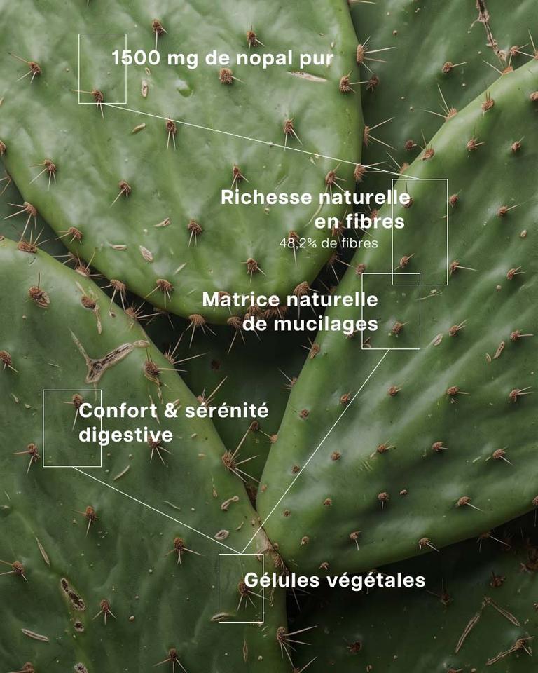 Nopal + 1500mg