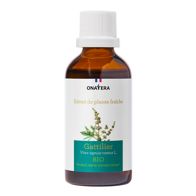 Gattilier Bio Extrait de plante fraîche