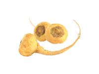 Maca du Pérou Bio