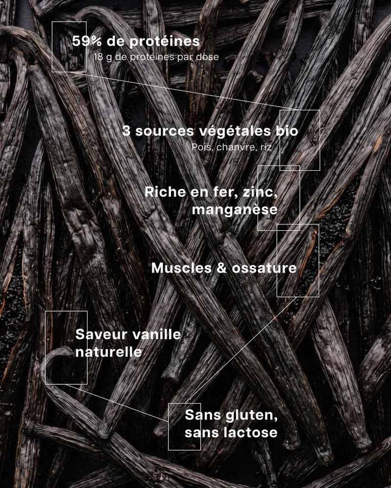 Protéines Bio Vegan Vanille