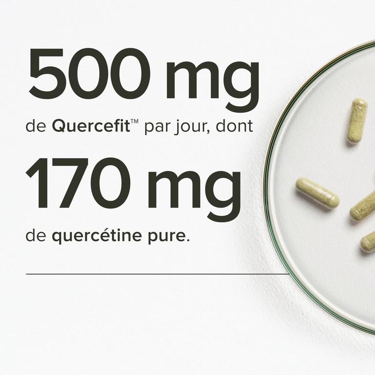 Quercétine Premium