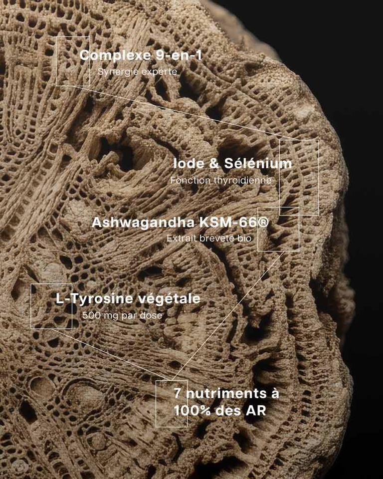 Complexe Thyroïdal