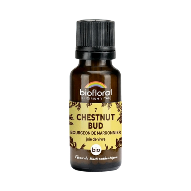 Fleur de Bach Chestnut Bud n° 7 granules Bio