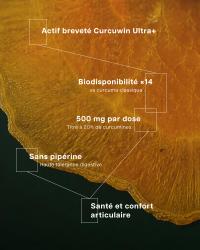 Curcuma Premium