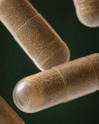 Rhodiola titrée 800 mg