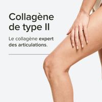 Collagène marin de type II, 1000 mg