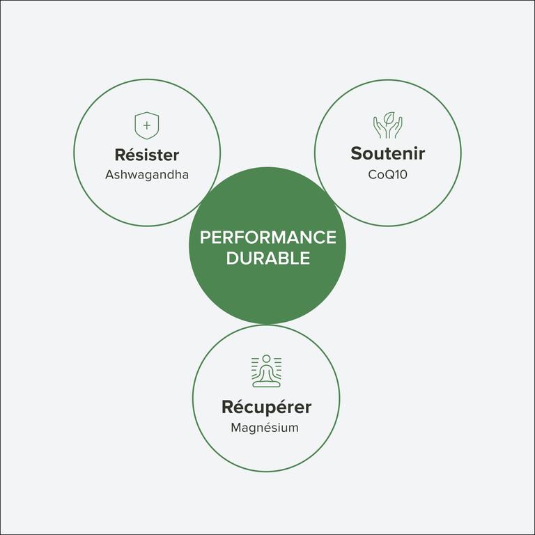 Pack énergie et récupération