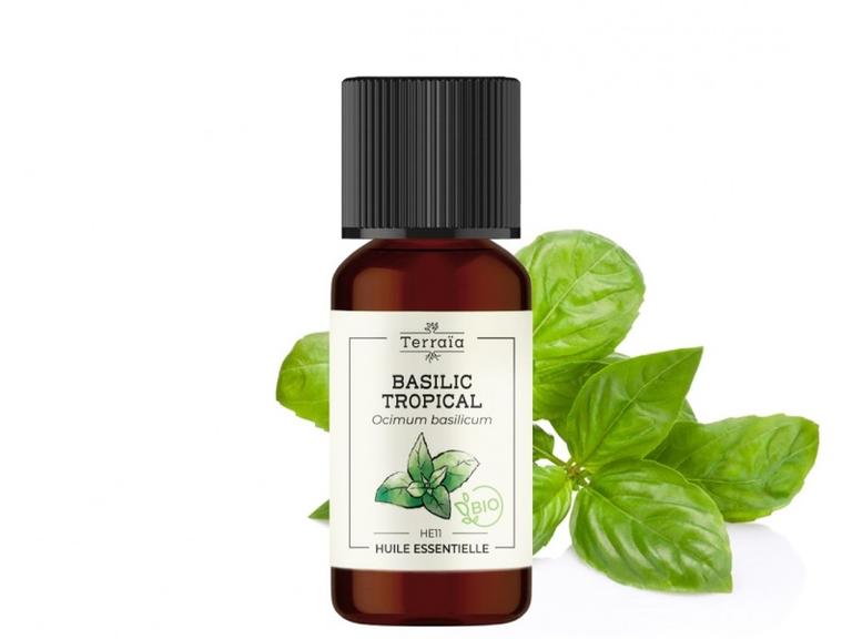 Huile essentielle Basilic tropical Bio