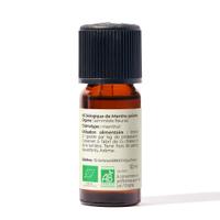 Huile essentielle Menthe poivrée Bio