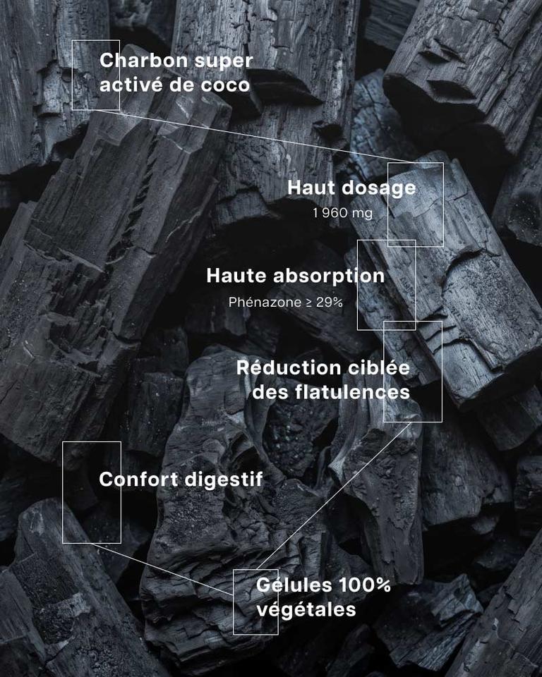 Charbon végétal super activé