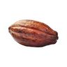 Cacao