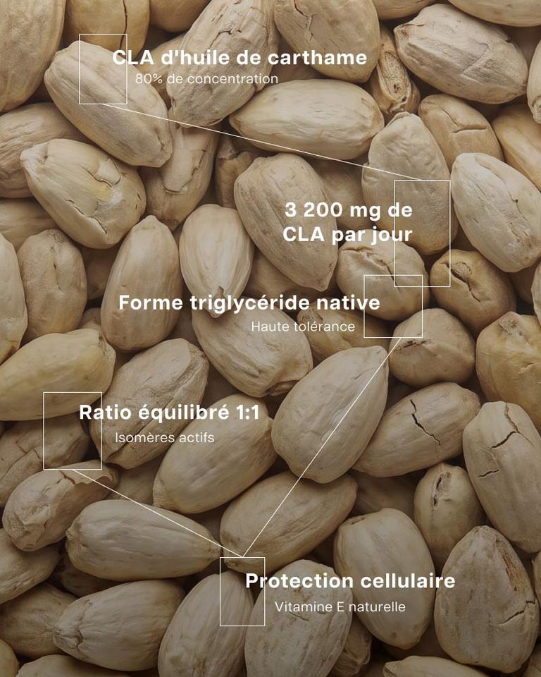 CLA - Acide linoléique conjugué