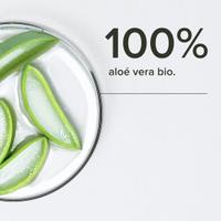 Pack équilibre intestinal