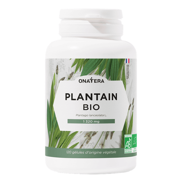 Plantain bio