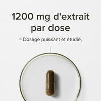 Shilajit premium 70%