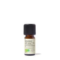 Huile essentielle Origan vert Bio