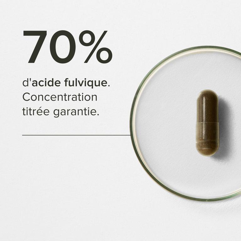 Shilajit premium 70%